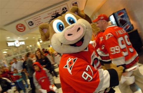 Why is the Carolina Hurricanes mascot a pig? We have the whole Stormy story