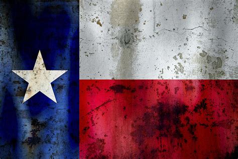 Texas Lone Star Flag Digital Art by Daniel Hagerman