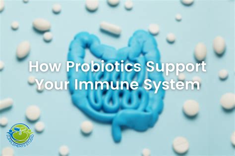 HOW PROBIOTICS SUPPORT YOUR IMMUNE SYSTEM – Supplements Studio