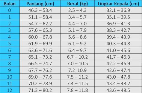 Cara Mengukur Lingkar Kepala Bayi Yang Benar – iFaWorldCup.com