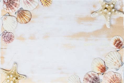 Seashells Clipart Border