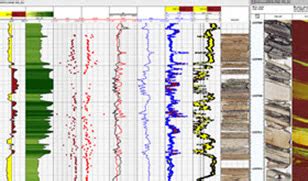 Petrophysics Software