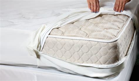 How to Get Rid of Bed Bugs in a Mattress in 3 Easy Steps