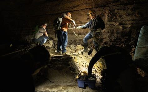 What Does It Take To Photograph A Bat Cave? - Cool Green Science