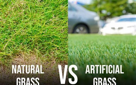 Natural Grass vs. Artificial Grass Installation in Modesto, CA