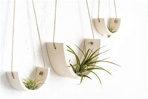 Ceramic air plant wall hanging — Jones + Co. | Plant wall, Hanging plant wall, Airplant wall