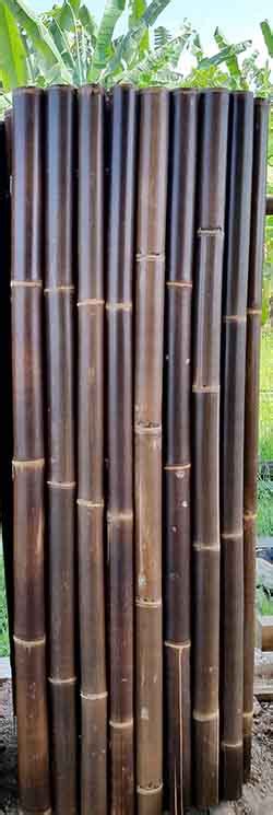 Black Bamboo Fence