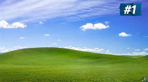 Three men recreate the classic Microsoft Windows XP , the, classic windows HD wallpaper | Pxfuel