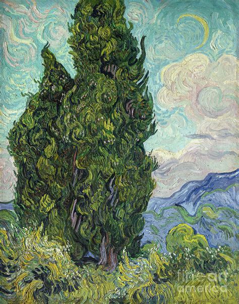 Cypresses - Van Gogh Painting by Vincent van Gogh - Fine Art America