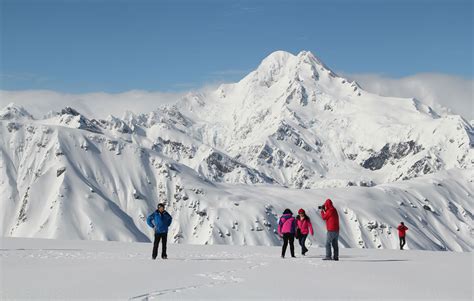 Franz Josef Helicopter Flight with Glacier Landing LT107 | Leisure Tours New Zealand day-tours ...