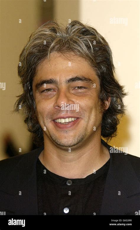 Mexican actor Benicio Del Toro during the Venice Film Festival Stock ...