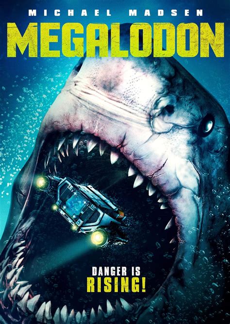 Amazon.com: Megalodon [DVD] : Movies & TV