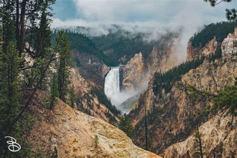 The Grand Canyon of Yellowstone! - Adventures of BL