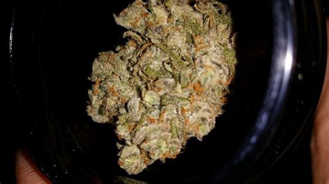 Blue Monster Weed Strain Information | Leafly