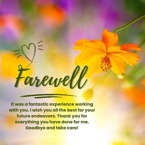 200+ Best Farewell Messages, Wishes and Quotes - Morning Pic