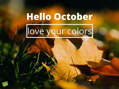 Hello October Fall Quotes Wallpapers - Top Free Hello October Fall ...