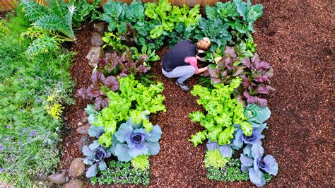 Plant a Cool-Season Vegetable Garden - Sunset Magazine - Sunset Magazine