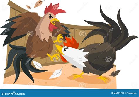 Rooster Fight Head Orang Chicken Cool Farm Fight Foot Cartoon Vector ...