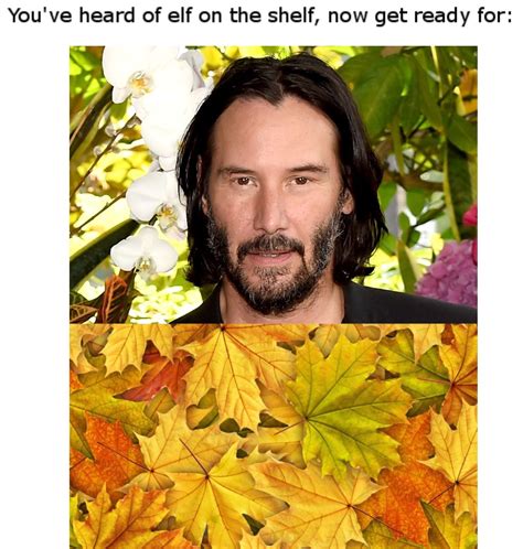 The best Leaves memes :) Memedroid