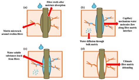 Polymers | Free Full-Text | Potential of Natural Fiber Reinforced ...