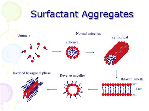 Surfactant Chemical Structure