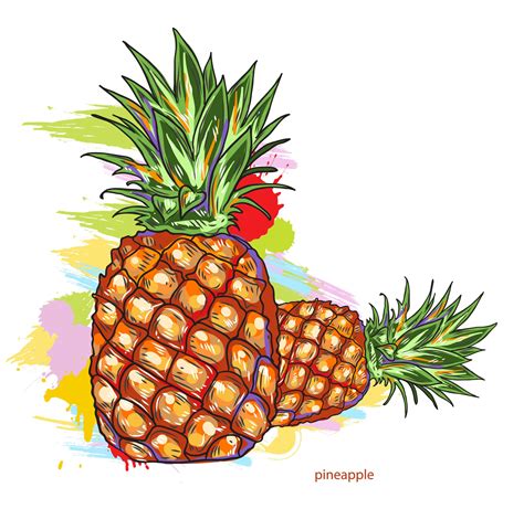 Colorful Vector Art Vector Pineapple Colorful Splashes - Designious