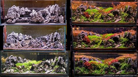 Setup process of 4ft Cave & ridgeline scape - YouTube | Aquascape design, Live aquarium plants ...