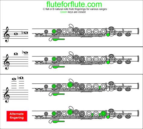 How To Play C Flat Note On The Flute: Fingering And Trill Chart For Low And High Octaves