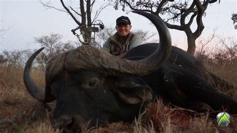 Cape Buffalo Hunting with a Bow! - YouTube