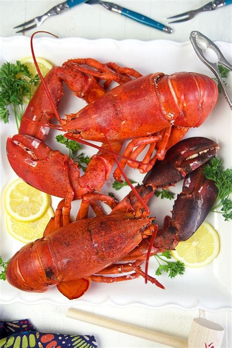 How to Cook Lobster - The Suburban Soapbox