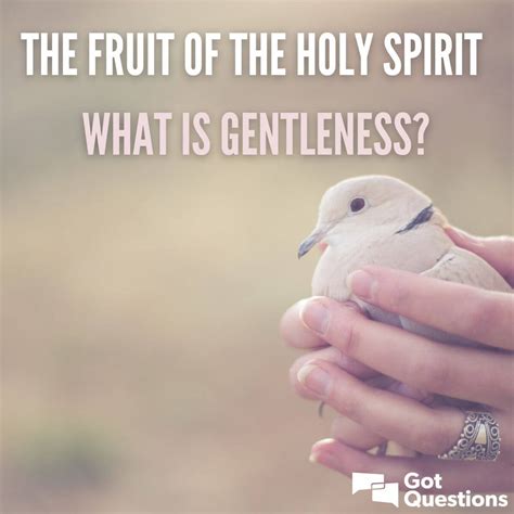 The Fruit of the Holy Spirit – What is gentleness? | GotQuestions.org