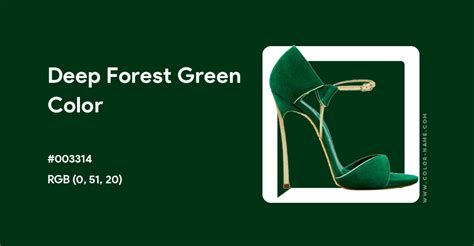 Deep Forest Green color hex code is #003314