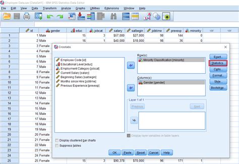 Testing assumptions of Chi-square test in SPSS - javatpoint