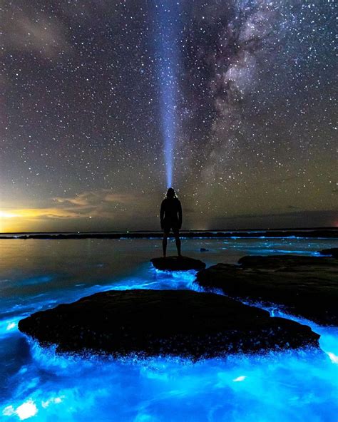 Bioluminescent beaches are one of the coolest natural phenomena on ...