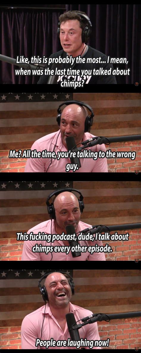 Joe Rogan Podcast Meme - Quotes Trending