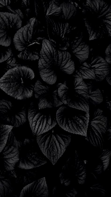 Dark HD Flowers Wallpapers - Top Free Dark HD Flowers Backgrounds ...