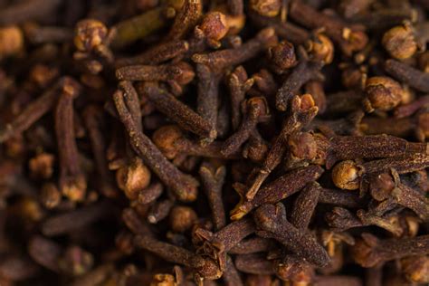 5 Medicinal Uses of Cloves to Improve Health — Step To Health