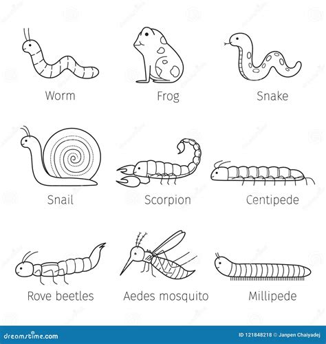 Set of Animals in Rainy Season, Outline Stock Vector - Illustration of ...