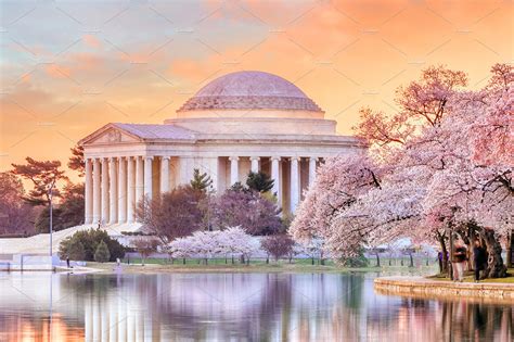 Jefferson Memorial during the Cherry Blossom Festival | High-Quality Architecture Stock Photos ...