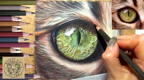 Realistic Cat Eye in Coloured Pencil – Timelapse | Black paper drawing ...
