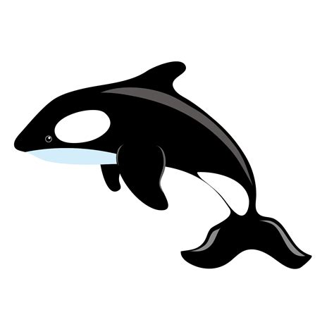 Killer whale Blue whale Clip art - Whale jumping vector material png download - 1667*1667 - Free ...