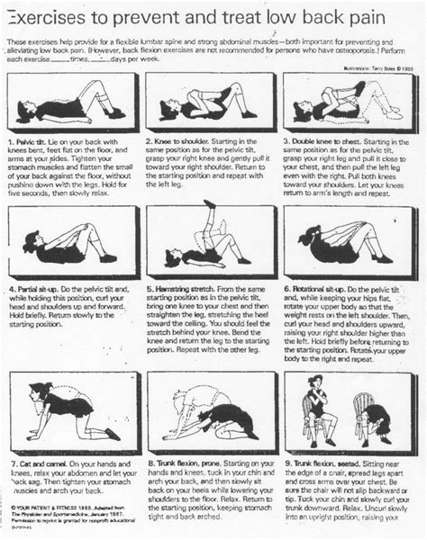 21 best Low Back Pain Exercises Patient Handout images on Pinterest ...