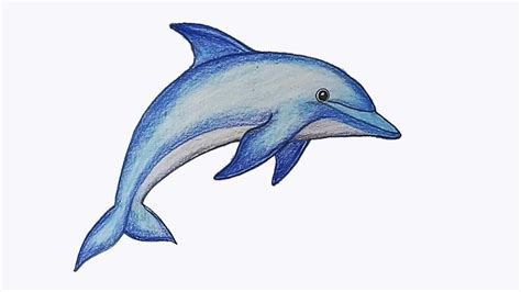 Learn how to sketch and art beautiful blue Dolphin by hand with ...