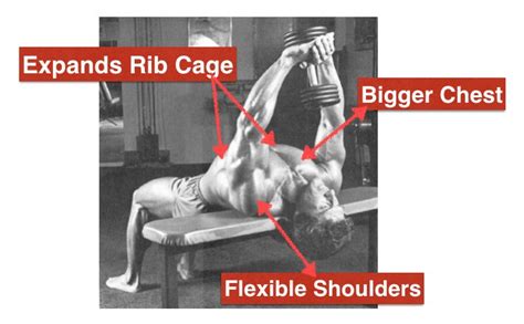 Pullovers Exercise to Build Chest & Back Muscles