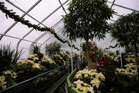 Photos: Volunteer Park Conservatory for the Holidays | Seattle Refined