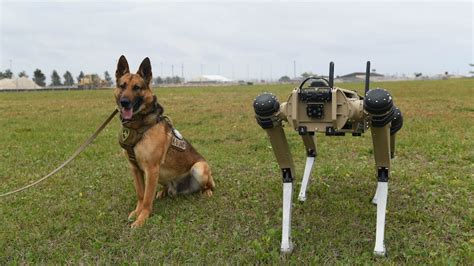 Robot dogs arrive at Tyndall AFB > U.S. Air Force > Article Display