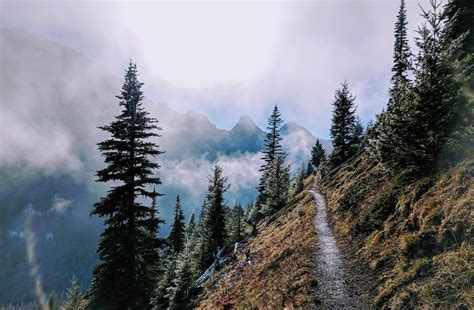 Today was a fine day for a hike in the Buckhorn Wilderness Olympic Mountains Washington #hiking ...