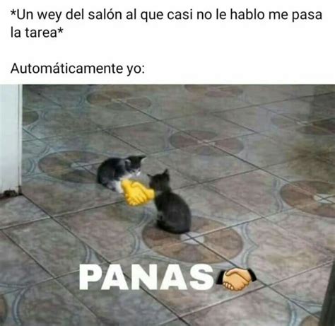 Panas 👁👄👁👌 | Memes de estudiantes, Memes divertidos, Memes de risa