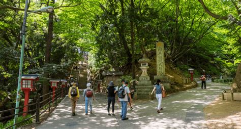 Hiking Up the Famous Mount Takao in Tokyo