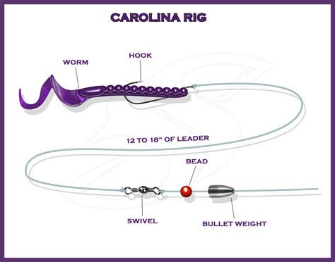 Fishing Articles Tagged "bass fishing carolina rig"